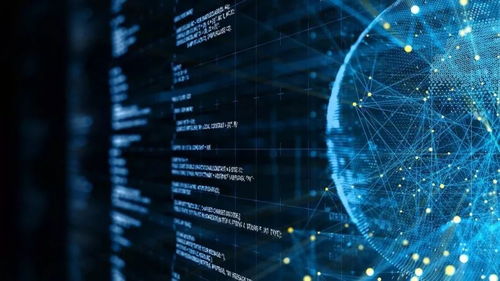 金融大数据与大数据金融 何大安的信息系统集成视角