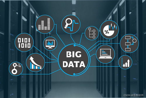 数据、大数据与数据分析 从基础到服务的演进路径